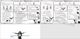 Minizestaw na temat „Przegląd i znaczenie ssaków”– sketchnotka + karta pracy w power point + gratisowy link do prezentacji multimedialnej niekomercyjnej wykonanej w genial.ly do indywidualnego pobrania i użycia do celów niekomercyjnych. Biologia 6, dział