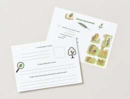 Karta pracy: „W lesie z poetą”