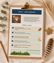 Sowa – ptak mądrości