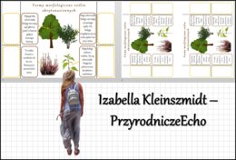 Notatka okienkowa „Formy morfologiczne roślin okrytonasiennych - notatka”, „Okrytonasienne” w pdf. Biologia 5 dział „Różnorodność roślin”.