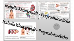 Zestaw sketchnotek – notatek do całego działu „Układ wydalniczy” wykonanych w power point do edycji. Biologia 7