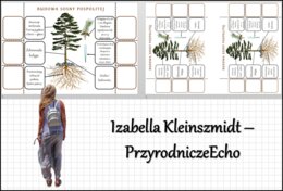 Notatki okienkowe „Budowa nagonasiennych”, „Budowa sosny pospolitej” w pdf. „Nagonasienne” w pdf. Biologia 5 dział „Różnorodność roślin”.