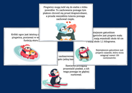 DZIEŃ PINGWINA – Dzień Wiedzy o Pingwinach – Ciekawostki o pingwinach - GAZETKA – świetlica – biblioteka – świetlica – 21 stron