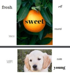 Kolejność przymiotników