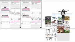 Karta pracy do tematu „Źródła wiedzy o ewolucji – dowody pośrednie” plus obrazki do zalaminowania oraz gratisowo pomysł na lekcję multimedialną z monitorem multimedialnym lub z tabletami (w formie niekomercyjnej prezentacji do edycji – krok po kroku) wyk