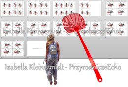 Muchy/tlenki/do zalaminowania. "Wartościowość pierwiastków w związkach chemicznych". Chemia 7. Dział "Jak to jest połączone?"