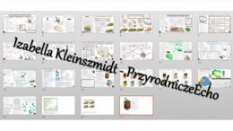 Zestaw sketchnotek – notatek do całego działu „Środowisko przyrodnicze Polski" wykonana w power point do edycji - wykonanych w power point do edycji. Geografia 7