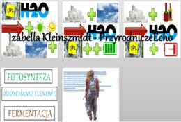 Materiał do zalaminowania/praca w grupach/układanka. „Samożywność”, „Sposoby oddychania organizmów”, „Fotosynteza/Oddychanie/Fermentacja” w pdf. Biologia 5, dział „Budowa i czynności życiowe organizmów”.