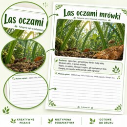 Las oczami mrówki