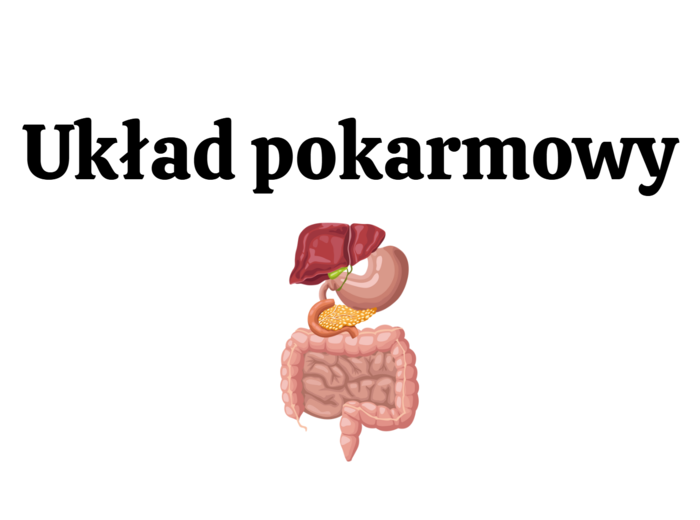 Układ pokarmowy 3 KLASA ROZSZERZONA BIOLOGIA