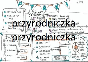 Klasa 6. Biologia. Ptaki