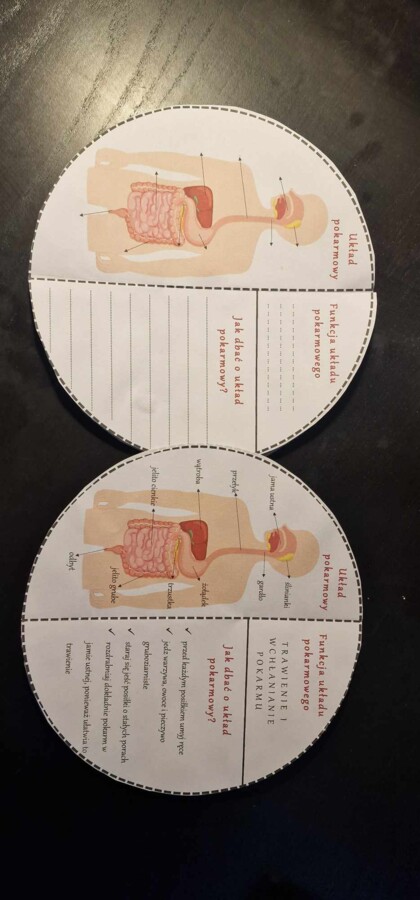 Karty pracy i sketchnotki do wykonania okrągłej książeczki. Układu narządów człowieka. Przyroda 4, „Odkrywamy tajemnice ciała człowieka”.