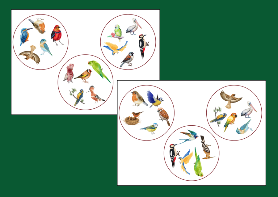 DZIEŃ PTAKÓW – dooble – WIOSNA - biblioteka – świetlica – przedszkole – 36 szt.