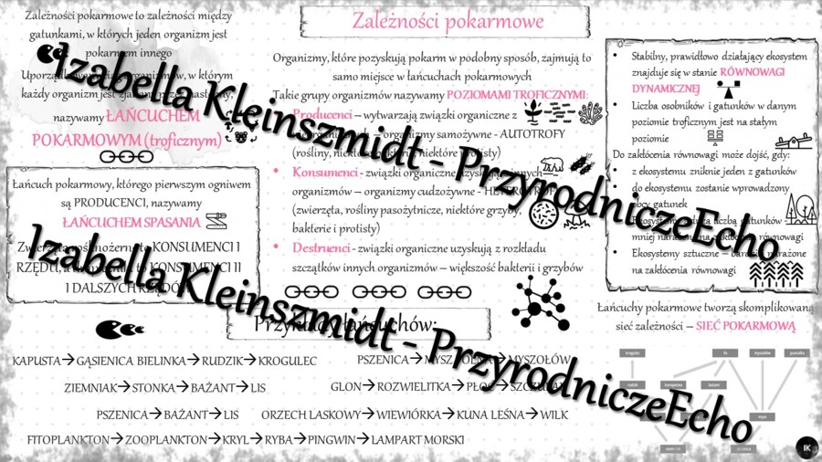 Sketchnotka - notatka „Zależności pokarmowe” wykonana w power point do edycji. Biologia 8; „EKOLOGIA”