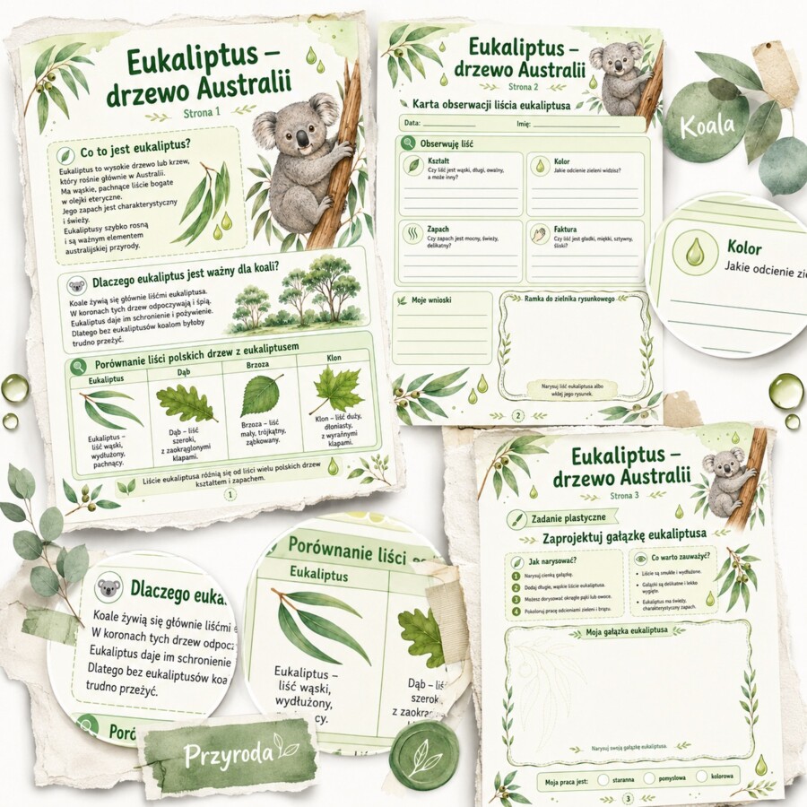 Eukaliptus - drzewo Australii