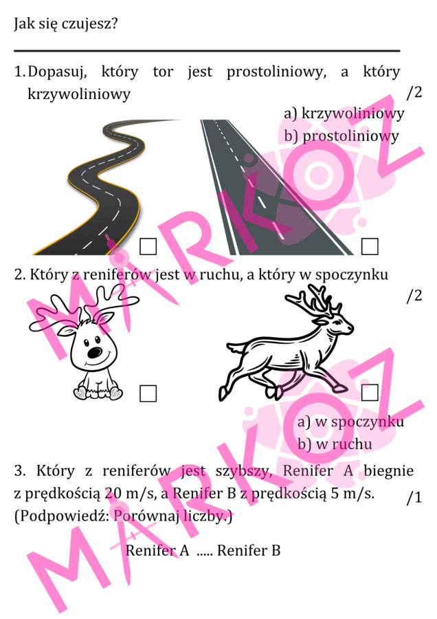 Sprawdzian Kinematyka