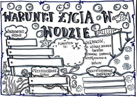 Warunki życia w wodzie. Karta pracy klasa 4