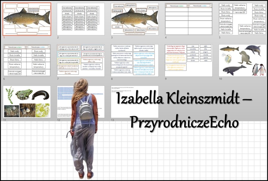 Materiał do zalaminowania/praca w grupach/stacje zadaniowe/układanka/puzzle „Warunki życia w wodzie” w pdf. Przyroda, dział „Odkrywamy tajemnice życia w wodzie i na lądzie”.