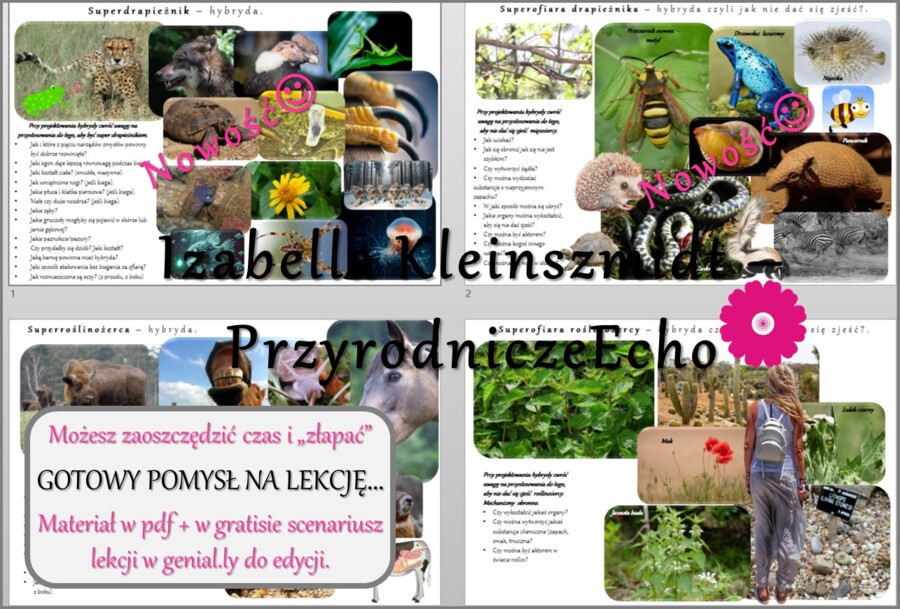 Pomysł na lekcję/pomysł na projekt/układanka/materiał do lekcji do tematu „Drapieżnictwo. Roślinożerność” w pdf. W gratisie niekomercyjny scenariusz lekcji/pomysł na lekcję w programie genial.ly do edycji. Na podstawie wydawnictwa Nowa Era. Biologia 8. D