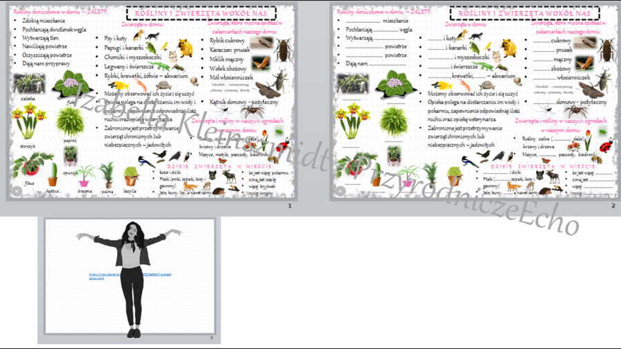 Mini zestaw do tematu „Rośliny i zwierzęta wokół nas” - sketchnotka + karta pracy w pdf oraz link do prezentacji multimedialnej niekomercyjnej wykonanej w genial.ly do indywidualnego pobrania i użycia do celów niekomercyjnych. Przyroda klasa 4, dział III