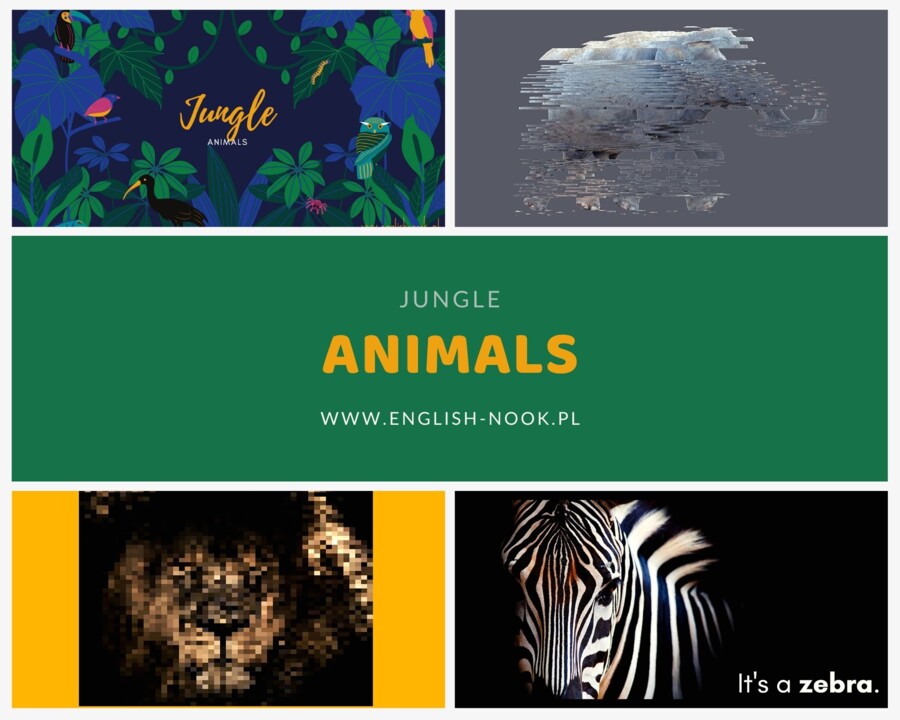 Język angielski. Jungle animals