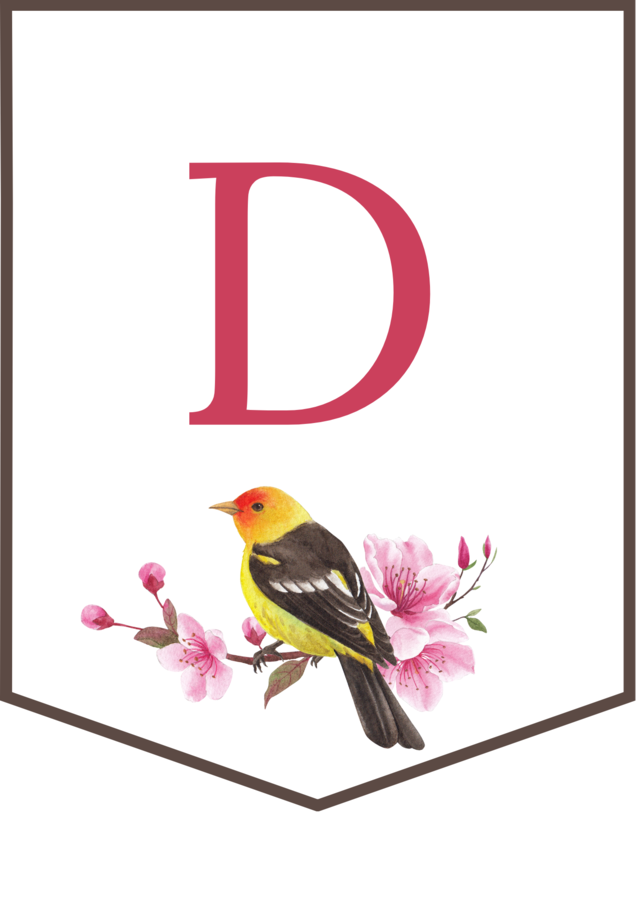 DZIEŃ PTAKÓW – wiosna - girlanda – napis – gazetka – wersja 2