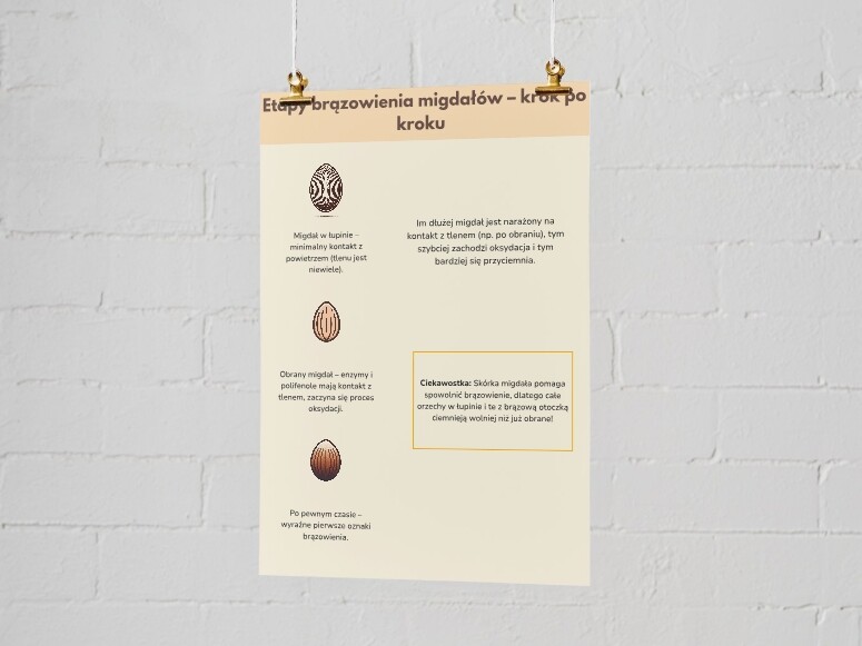 Dlaczego migdały ciemnieją? Infografika. Proces oksydacji. Chemiczny proces brązowienia. Jak temu zapobiegać?