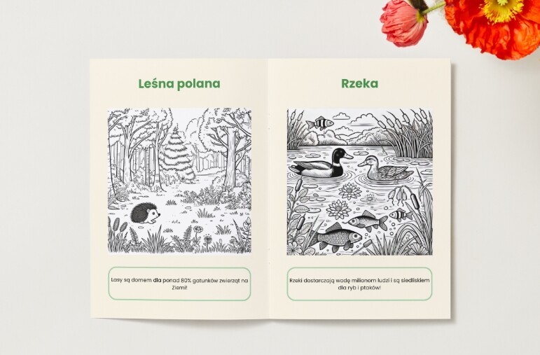 Kolorowanki. Zwierzęta. Rośliny. Grzyby. Ekosystemy