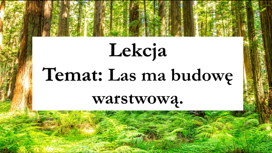 Klasa 4 - Las ma budowę warstwową - prezentacja