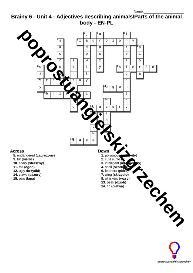 Brainy 6 – Unit 4 – krzyżówki