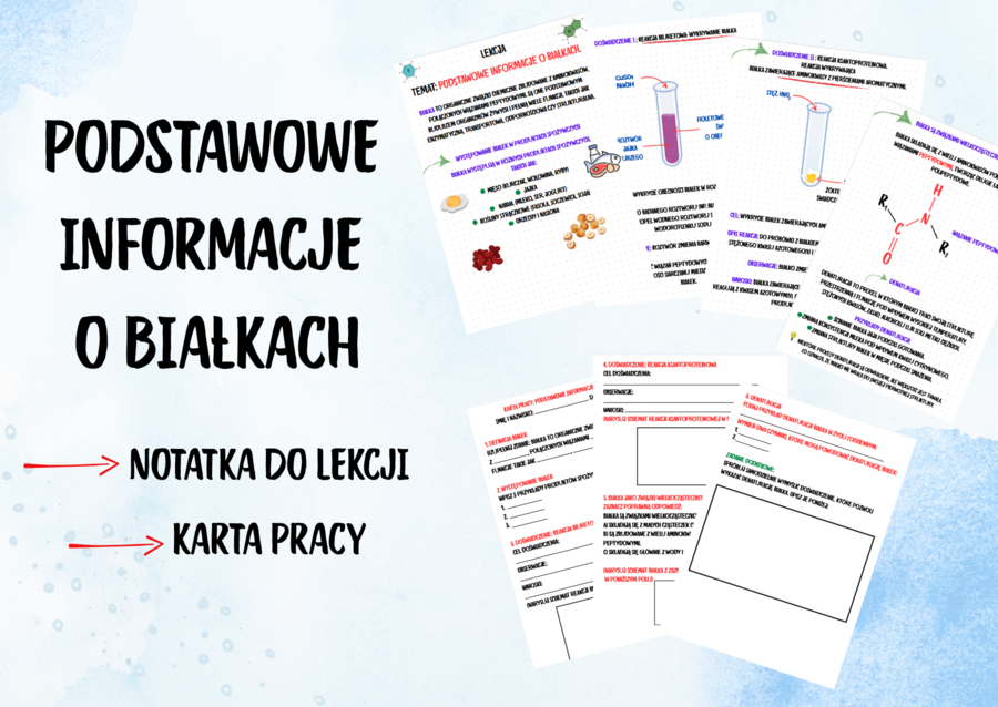 Podstawowe informacje o białkach/białka/ NOTATKA DO LEKCJI + KARTA PRACY
