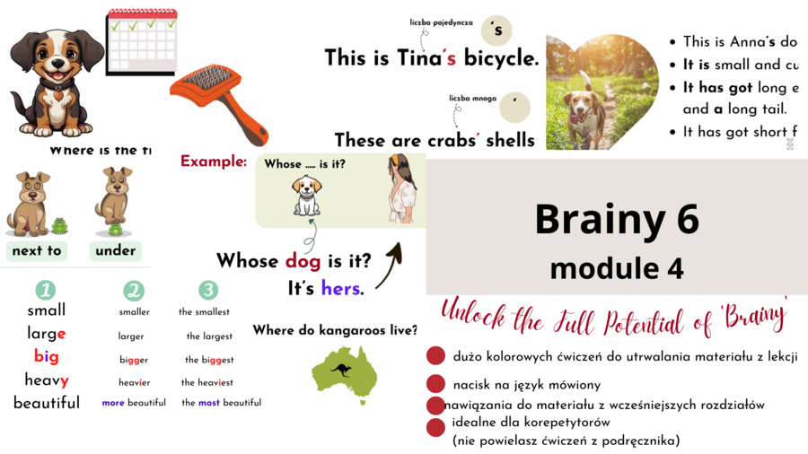 Brainy 6, unit 4, materiały dodatkowe uzupełniające podręcznik
