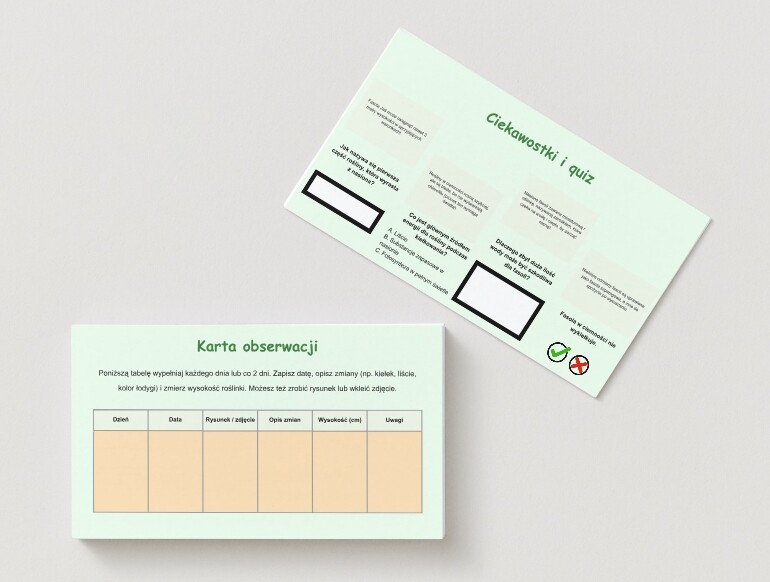 Uprawa roślin w klasie (fasola w słoiku, kiełkowanie nasion), obserwacja różnych warunków (światło, woda)