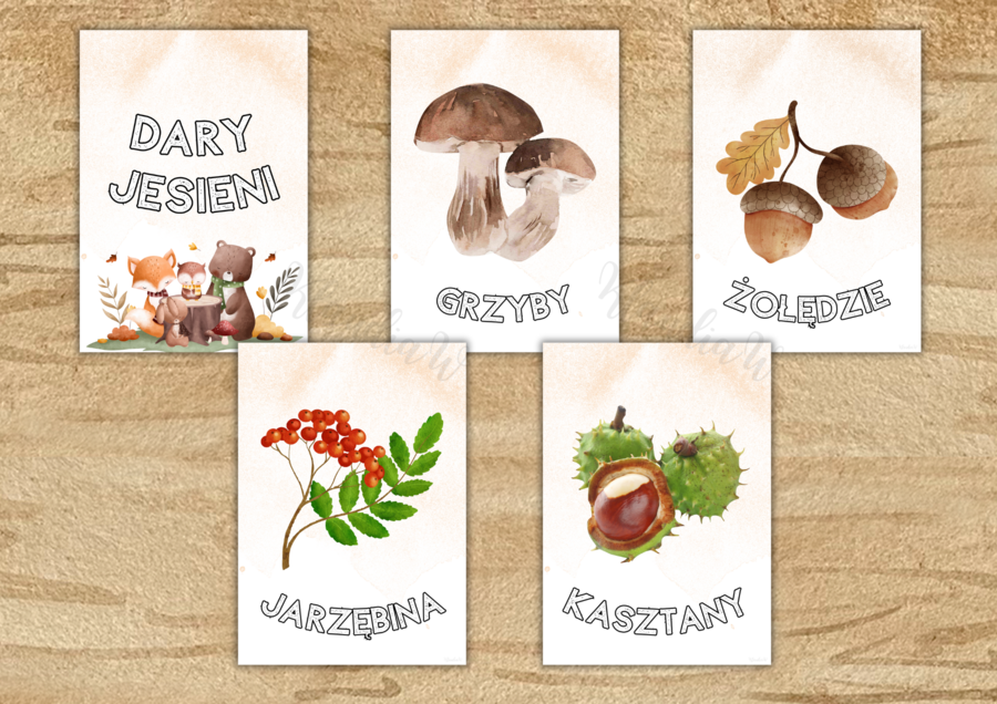 Dary jesieni - plansze edukacyjne A4