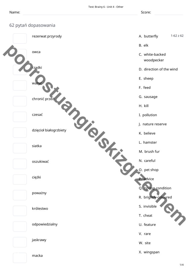 Brainy 6 – Unit 4 – testy