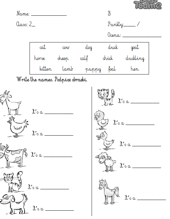 Kartkówki do Bugs Team 2