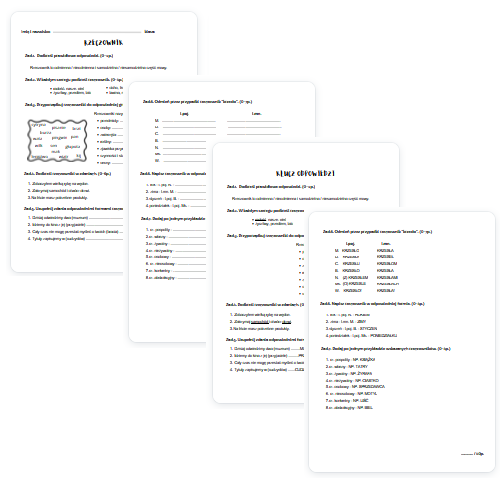 Rzeczownik / części mowy / sprawdzian / kartkówka / karta pracy / KLUCZ ODPOWIEDZI