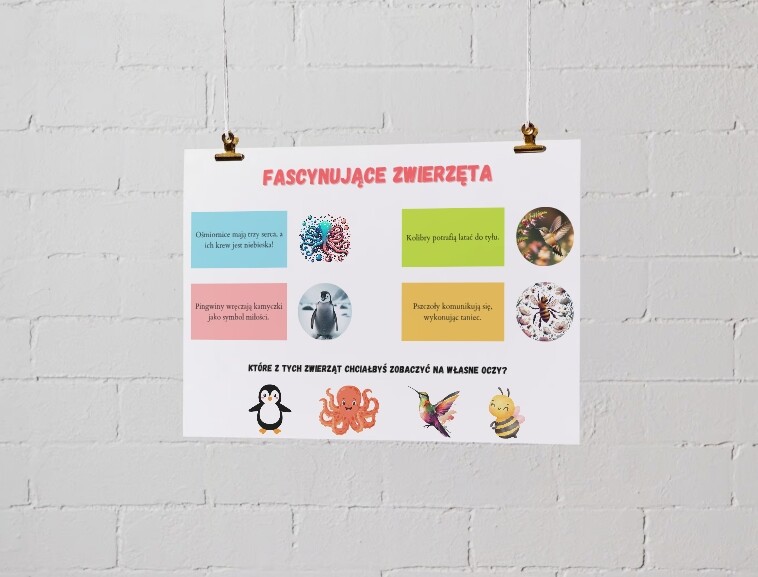 Plakaty z ciekawostkami. Zwierzęta. Rośliny. Ekosystemy. Jak dbać o ziemię?