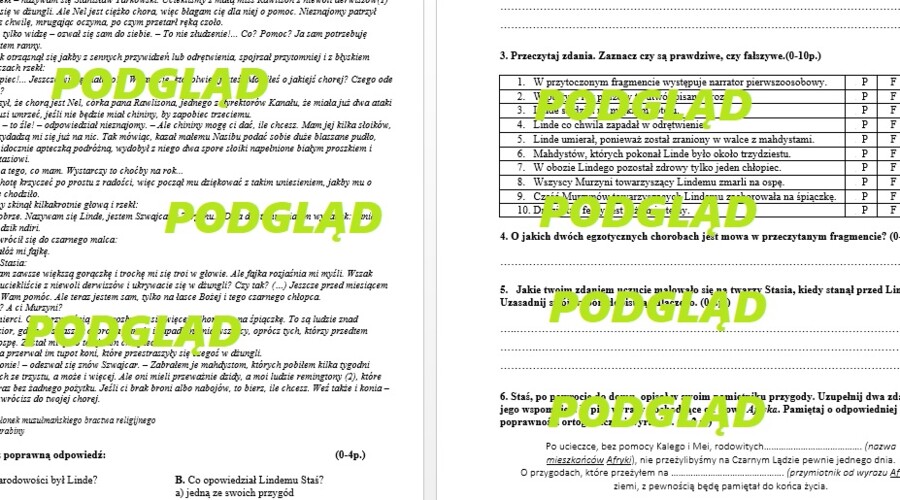 W pustyni i w puszczy - sprawdzian, praca klasowa
