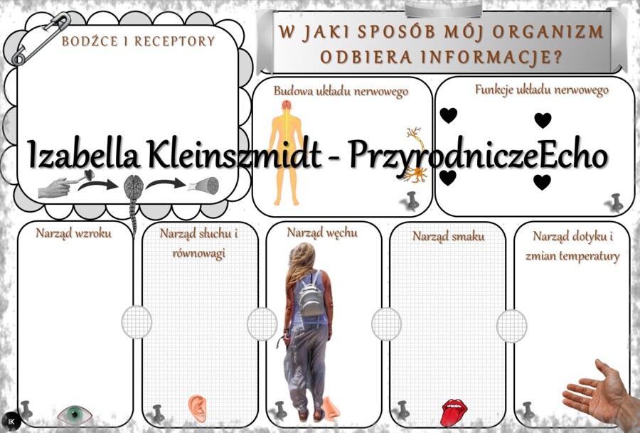 Karta pracy „W jaki sposób mój organizm odbiera informacje?” wykonana w power point do edycji. Przyroda 4, „Ja i moje ciało” na podstawie wydawnictwa WSiP