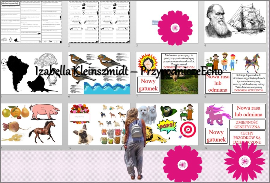 Pomysł na lekcję/karta pracy/stacje zadaniowe/notatki/ materiał do lekcji do tematu „Mechanizmy ewolucji” w pdf. W gratisie niekomercyjny scenariusz lekcji/pomysł na lekcję w programie genial.ly do edycji. Biologia 8. Dział „Ewolucja życia”.