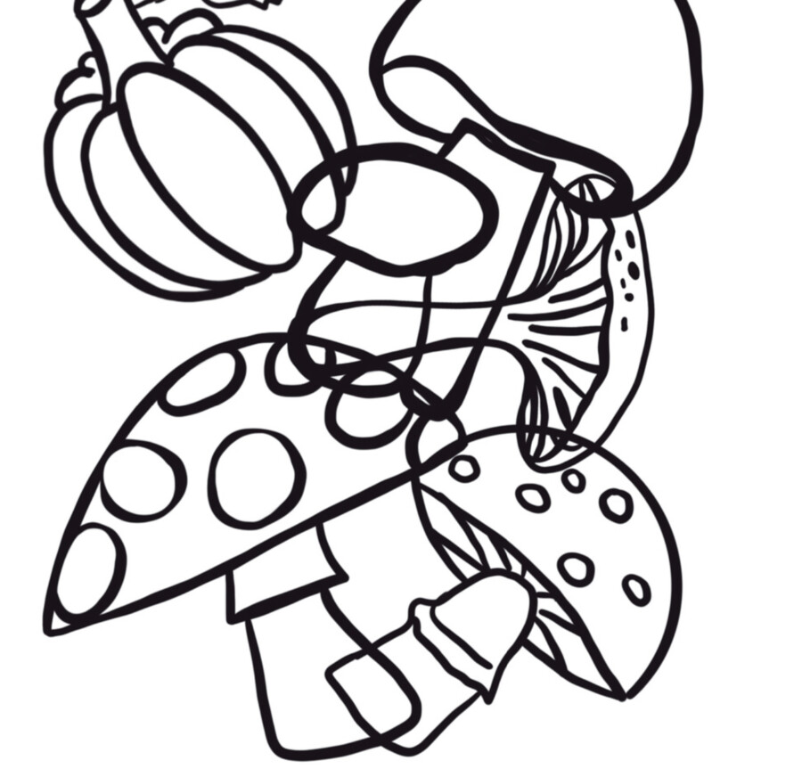 Scenariusz zajęć rewalidacyjnych lub korekcyjno — kompensacyjnych, Bystre Oczko, grzybobranie