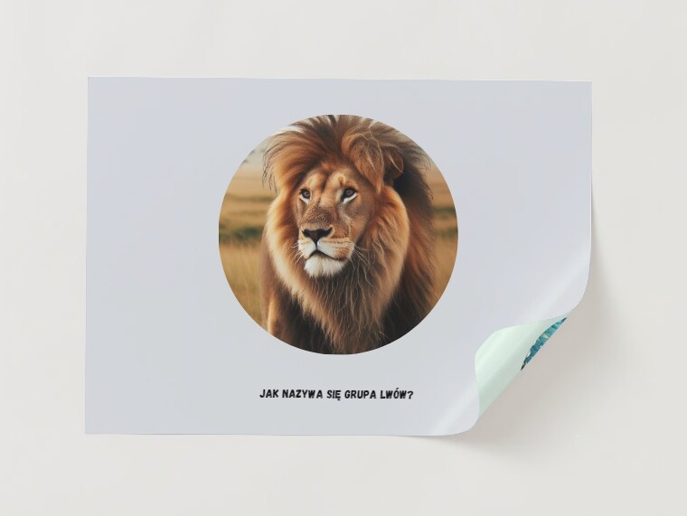 Gra edukacyjna - dopasuj elementy. Zwierzęta i ich środowisko