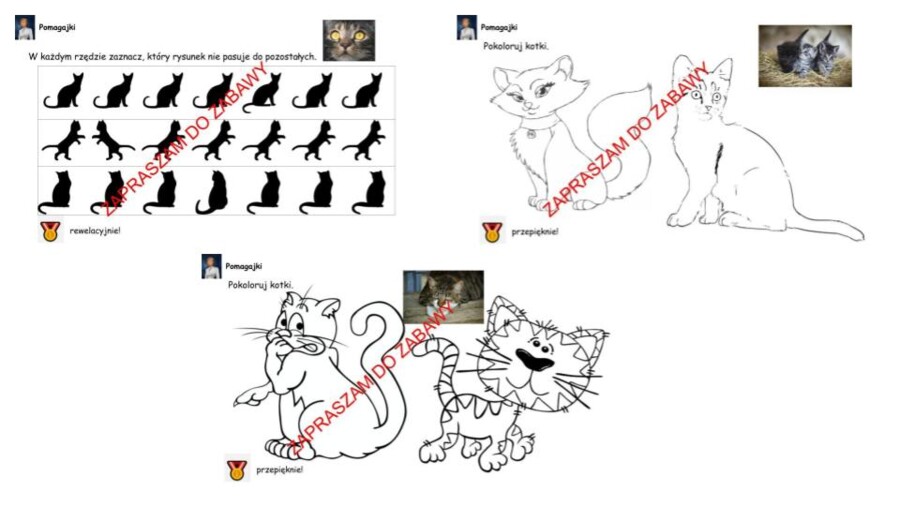 ?Wielkanocna promocja - Zabawy psie i kocie 10 zł