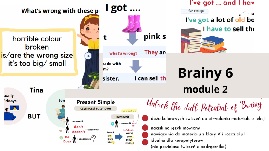 Brainy 6, unit 2, materiały dodatkowe- korepetycje, szkoła- mówienie, dodatkowe zadania na bazie tego co w podręczniku