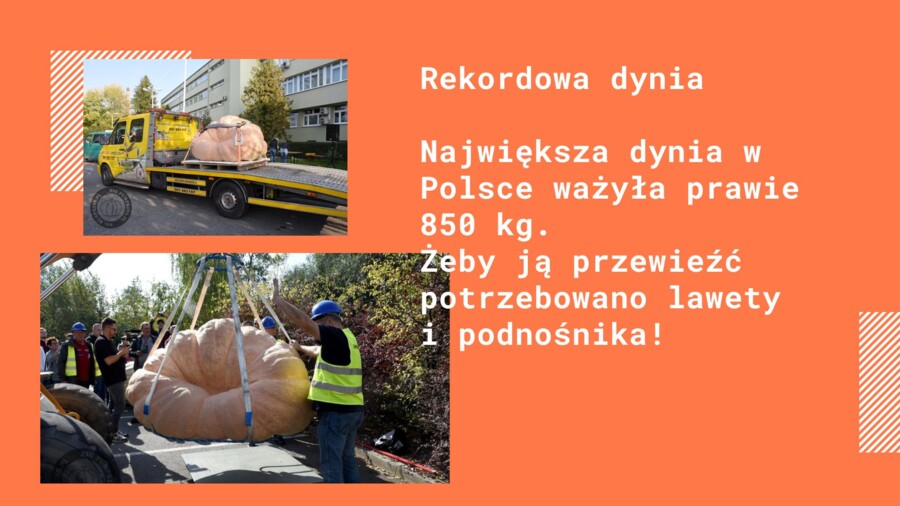 Dzień Dyni - prezentacja
