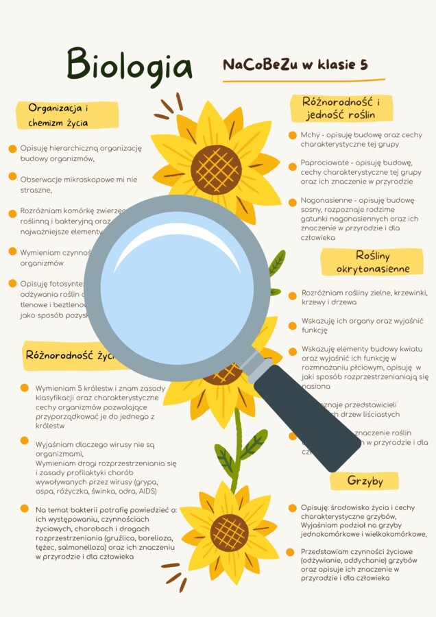 NaCoBeZu klasa 5