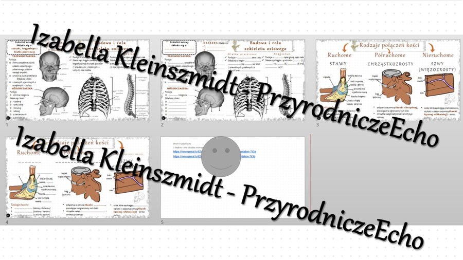 Minizestaw na temat „Budowa i rola szkieletu osiowego” – sketchnotka + karta pracy w power point + gratisowy link do prezentacji multimedialnej niekomercyjnej wykonanej w genial.ly do indywidualnego pobrania i użycia do celów niekomercyjnych. Biologia 7,