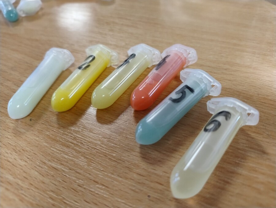 Zabawa w badanie moczu (do tematu o chorobach układu moczowego)