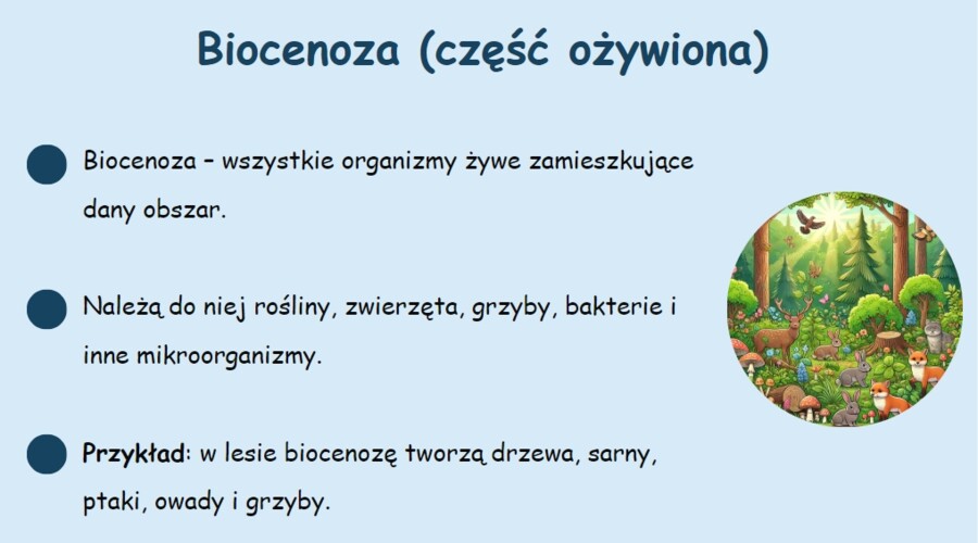 Podstawowe pojęcia ekologiczne. Definicja. Przykłady. Krótkie pytania quizowe.